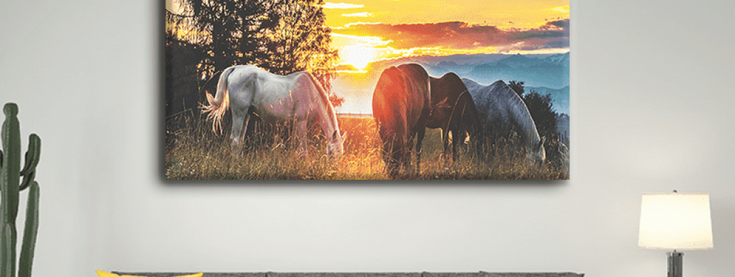 طريقة تثبيت اللوحات الجدارية باحترافية - دليل شامل من متجر مشمش