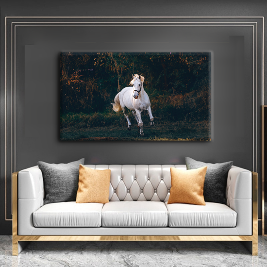 لوحة كانفس جدارية عرضية للخيل باللون الابيض
